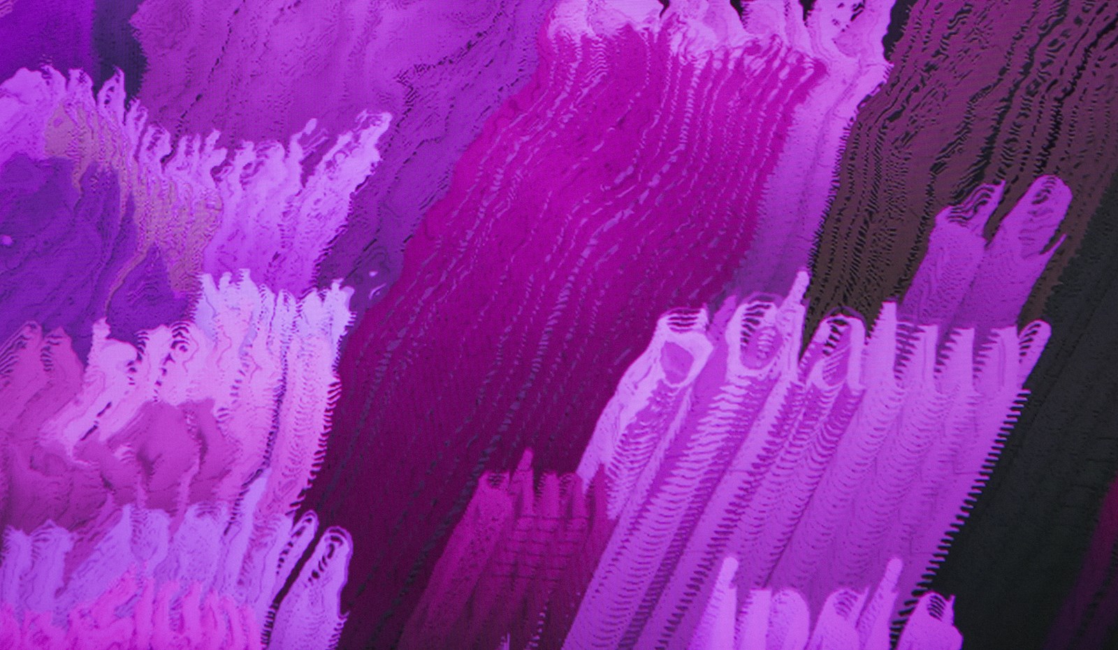 Draft 3, Carta Magna, detalle