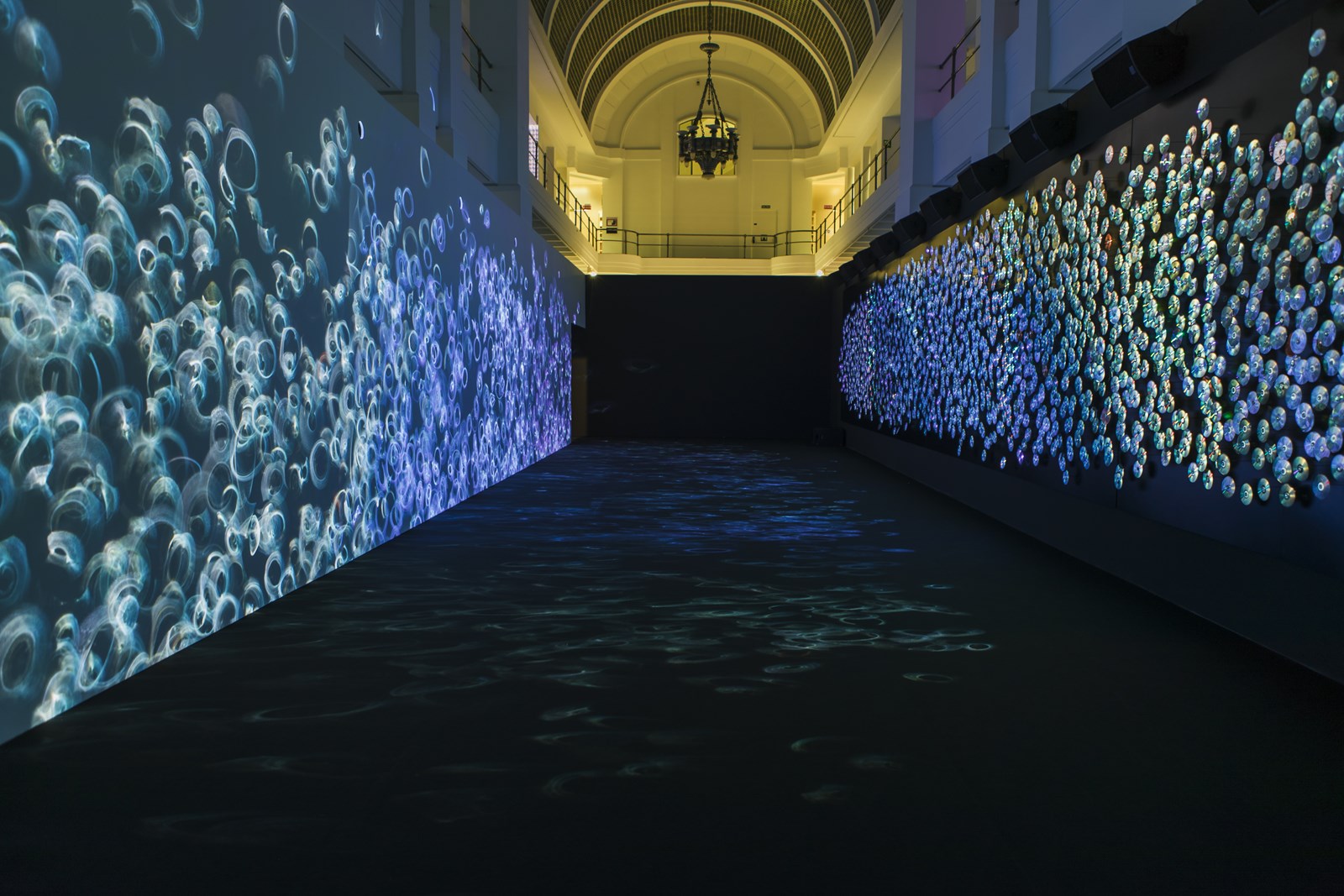 Fluctuaciones vista general