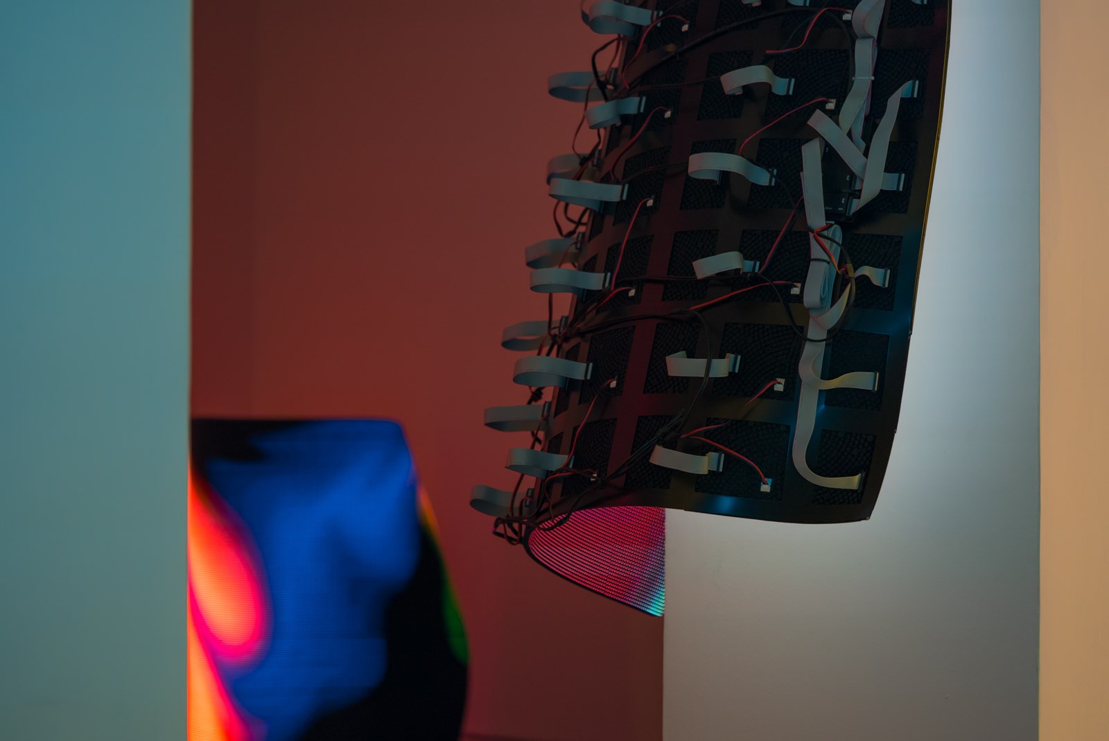 Crédito foto: Jorge Mirón